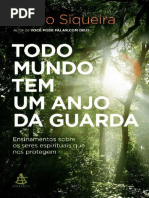 Todo Mundo tem um Anjo da Guarda - Pedro Siqueira