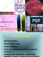atlas-microbiologia