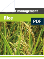 556 Rice Nutrient Management Guide