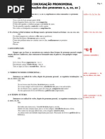 Conjuga Cao Pro Nominal