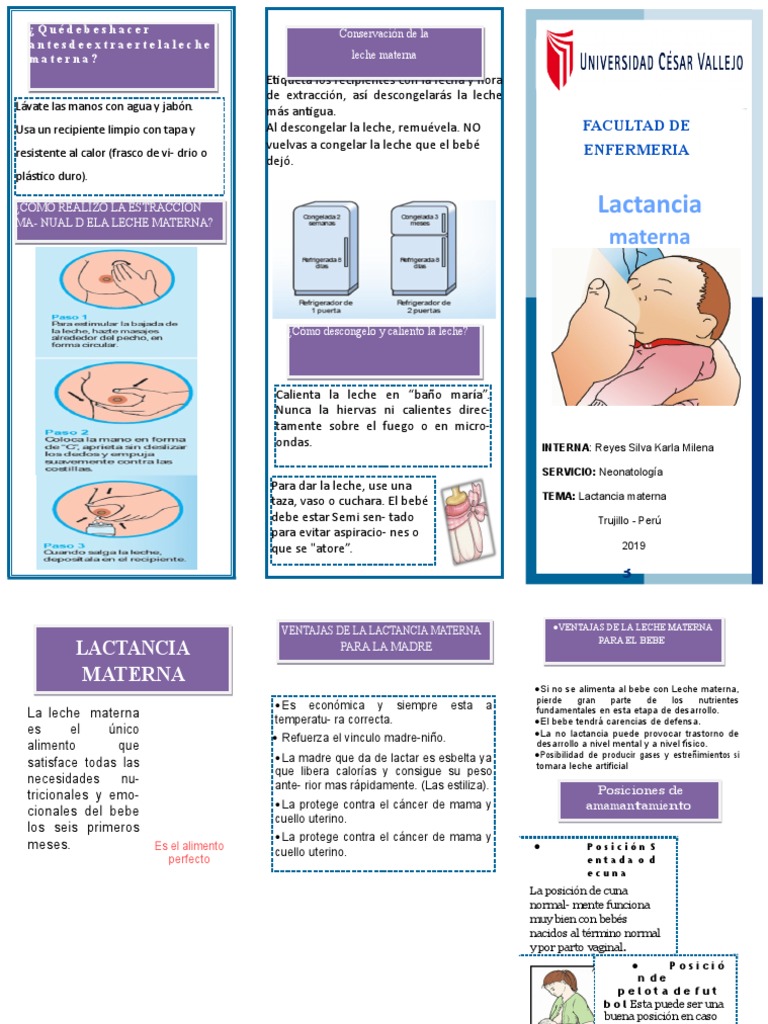 Triptico Lactancia Materna | PDF | La leche materna | La salud de la mujer