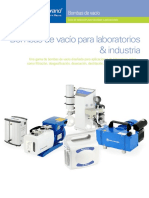 FB Vacuum Pumps - ES PDF