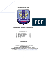 Laporan Biologi Fungi