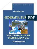 Caiet VI Europa.pdf