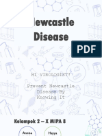 Newcastle Disease 