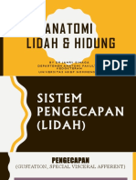 Anatomi Hidung Dan Lidah