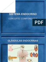 SISTEMA ENDOCRINO pregrado