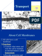 Cell Membrane Structure and Functions