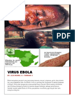 Virus Ebola (Izza Nurul A)