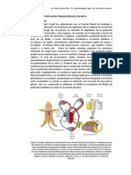 Perfusion Técnica