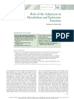 Adiponektin1 PDF