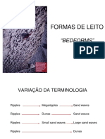 Aula 10 Formas de Leito PDF