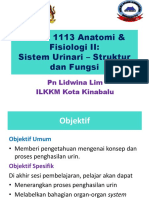 OPTIMIZED  TITLE FOR URINARY SYSTEM