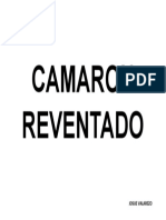 CAMARON REVENTADO.docx