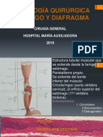 Patologia Quirurgica Del Esófago y Diafragma