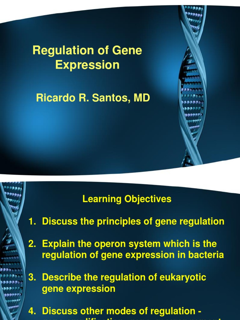 Gene Expression Regulation Explained | PDF | Operon | Regulation Of ...