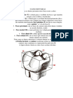 Faces Dentárias