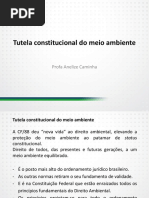 A Constituicao Federal e o Meio Ambiente Competencia Ambiental Da Uniao Dos Estados e Dos Municipios Bens Ambientais