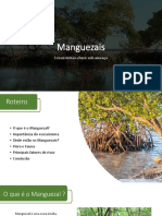 Ecossistemas-chave sob-ameaça: a importância dos manguezais