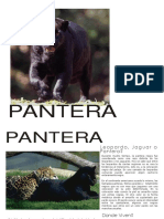 Cartilla Pantera 2014