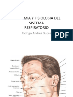 ANATOMIA Y FISIOLOGIA DEL SISTEMA Respiratorio