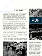 1971-1980 Arasinda Kürt Sorunu- Sosyalizm ve Toplumsal Mücadeleler Ansiklopedisi