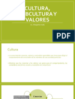 Cultura-Subcultura-y-Valores.pptx