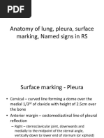 Chest X-Ray Interpretation Guide | PDF | Lung | Thorax