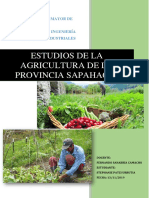 PRÁCTICAS SAPAHAQUI - TRANSFORMACIÓN Y COMERCIALIZACIÓN (CORREGIDO).docx