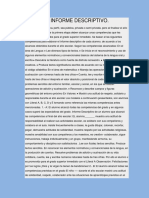 INFORME DESCRIPTIVO.docx