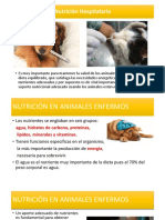 Nutrición Animales Enfermos