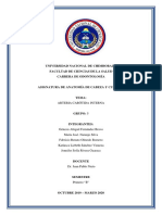 Arteria Carotida Interna, Trabajo Escrito