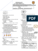 Solal Xi Ips 2019 Sem 1