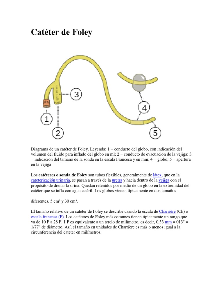 Diagrama y tamaños del catéter de Foley | PDF