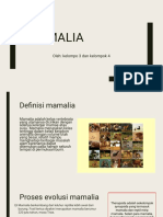 Presentasi Mamalia