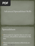 Advanced Spreadsheet Skills