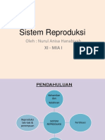 Sistem Reproduksi