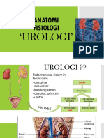 Anatomi Fisiologi Urologi