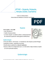 Curs eruptive C Oprea.pptx