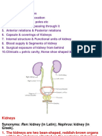 A. 2019. 09. Kidneys for DPT (1).pptx