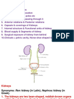 A. 2019. 09. Kidneys For DPT