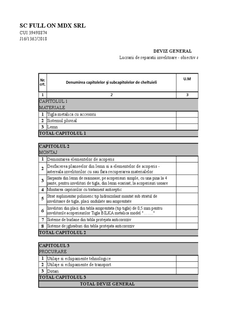 Deviz General Model Excel Conform HG 907 | PDF