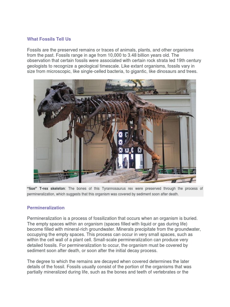 2 | PDF | Fossil | Paleontology