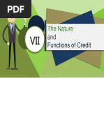 nature and function of credit.pptx