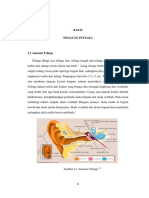 BAB II TINJAUAN PUSTAKA 2.1 Anatomi Teli