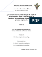 Celulosa de Agave PDF