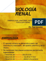 EMBRIOLOGIA Y FISIOLOGIA RENAL DRAS. Adacrist y Yadelsis