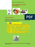 53 Cuestiones y Problemas Resueltos Sele PDF