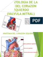 Fisiopatologia de La Falla Del Corazon Izquierdo (