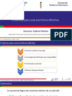 Criterios para Una Escritura Efectiva